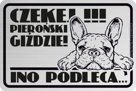 Czekej Giździe Jeden Ino podleca ...  Śląska tabliczka personalizowana z grawerem Laminat srebrny na płot - Pies ( imię twojego psa) - 20x13 cm