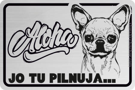 Aloha Jo tu pilnuja Chihuahua ...  Śląska tabliczka personalizowana z grawerem Laminat srebrny na płot - Pies ( imię twojego psa) - 20x13 cm